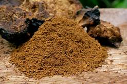 Organic Chaga Mushroom - Wildcrafted - Dr.Sebi Approved - The Cosmic Chef