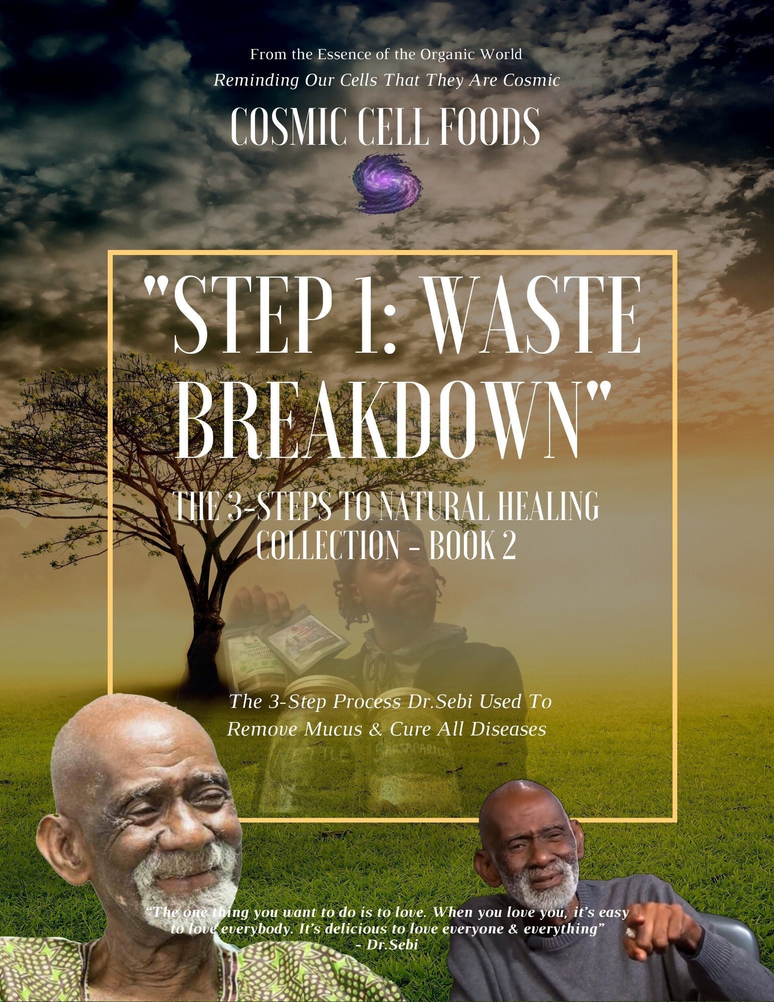 "STEP 1: WASTE BREAKDOWN" The 3-Steps To Healing Book Collection - BOOK 2 - The Cosmic Chef