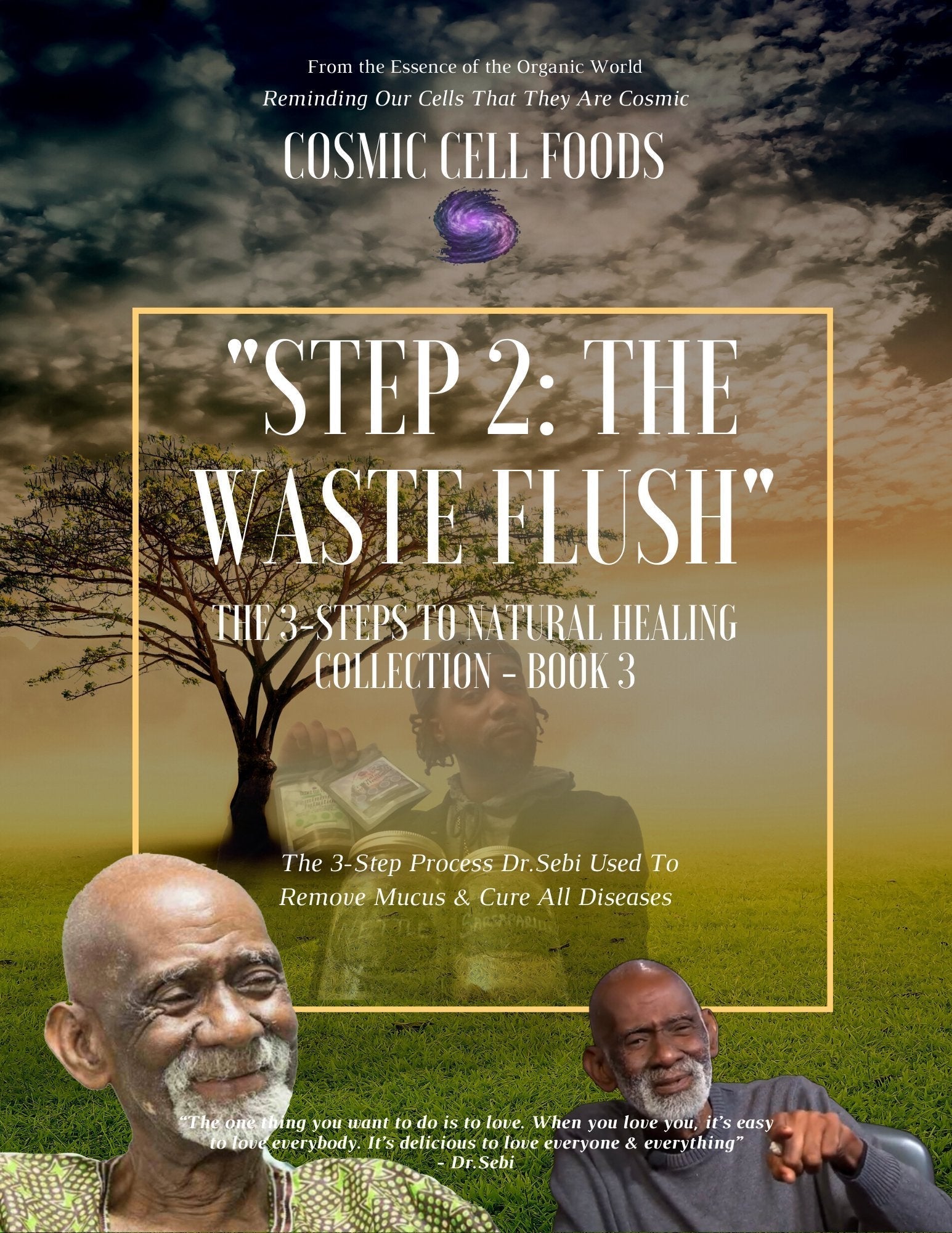 The 3-Steps To Healing Book Collection (The 3-Steps Dr.Sebi Used To Cure All Disease) - The Cosmic Chef